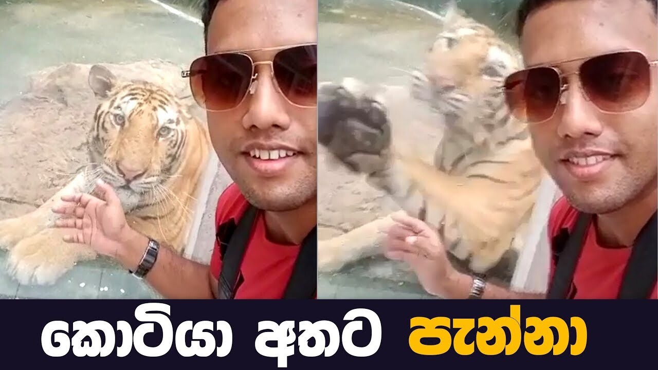 Lanka music video song mp4 mobile download