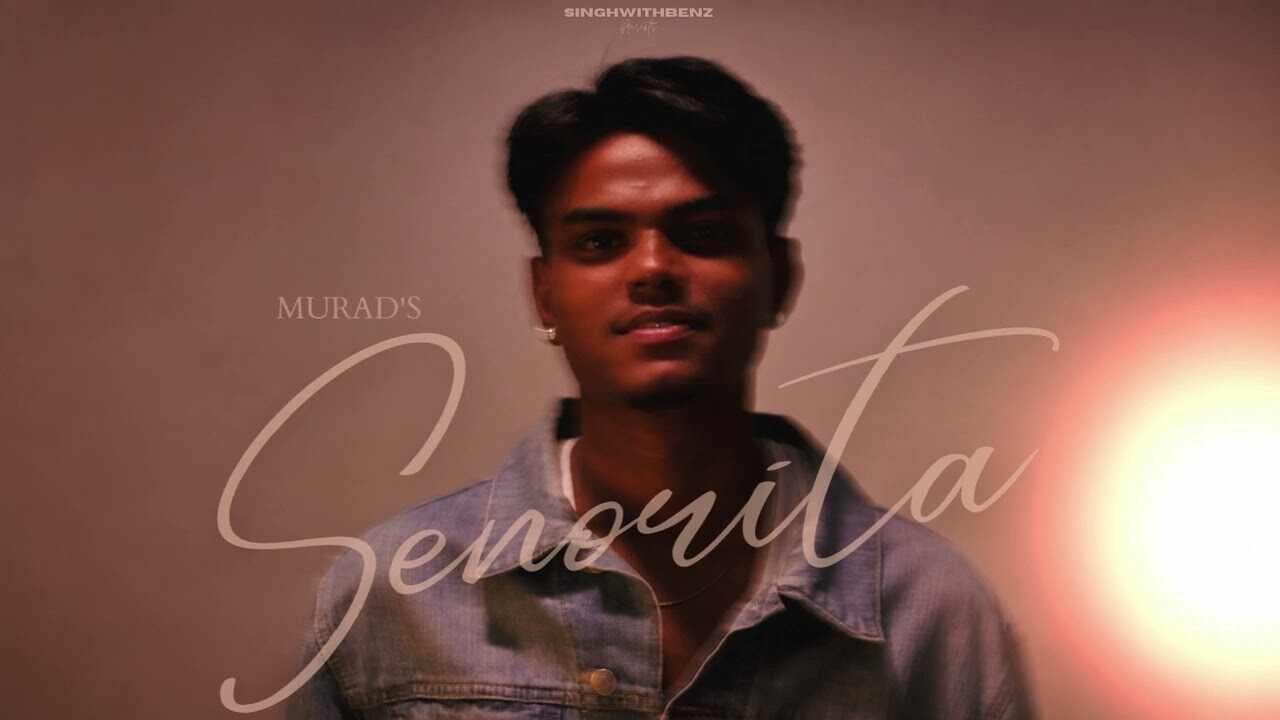 Senorita music video song mp4 mobile download